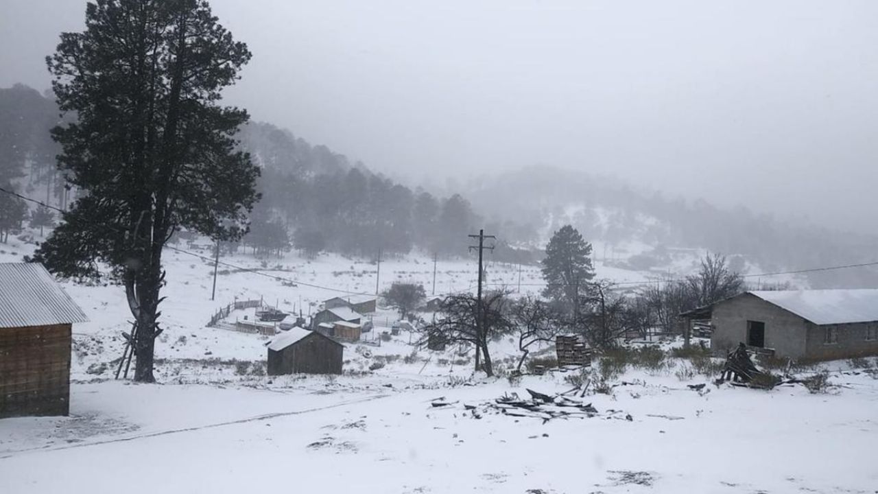 Durango Reporta Municipios Afectados Por Nevada Y Tormenta Invernal