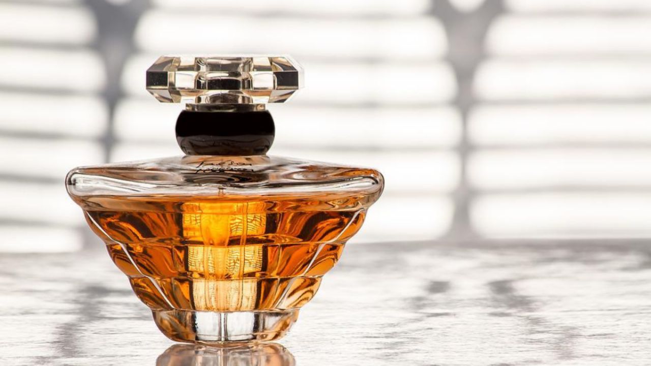 Descubre Los Perfumes De Mujer Que Enloquecen A Cualquier Hombre El