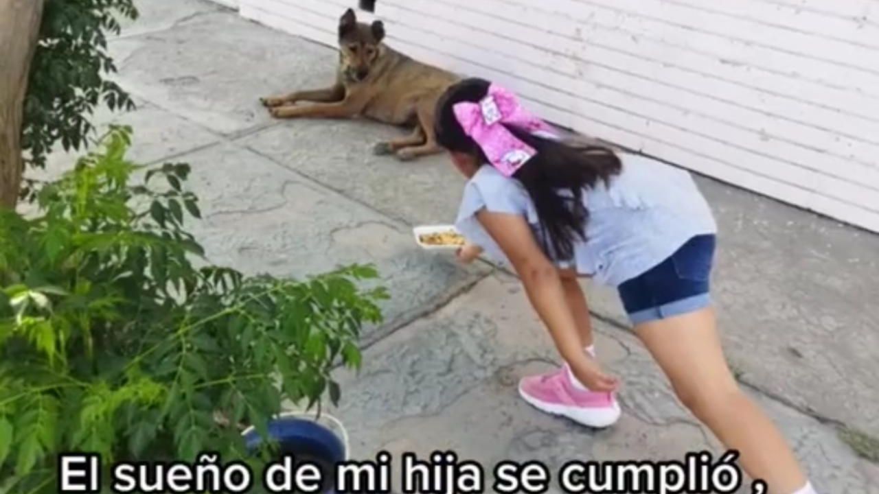 VIDEO Niña enternece las redes al repartir comida a decenas de