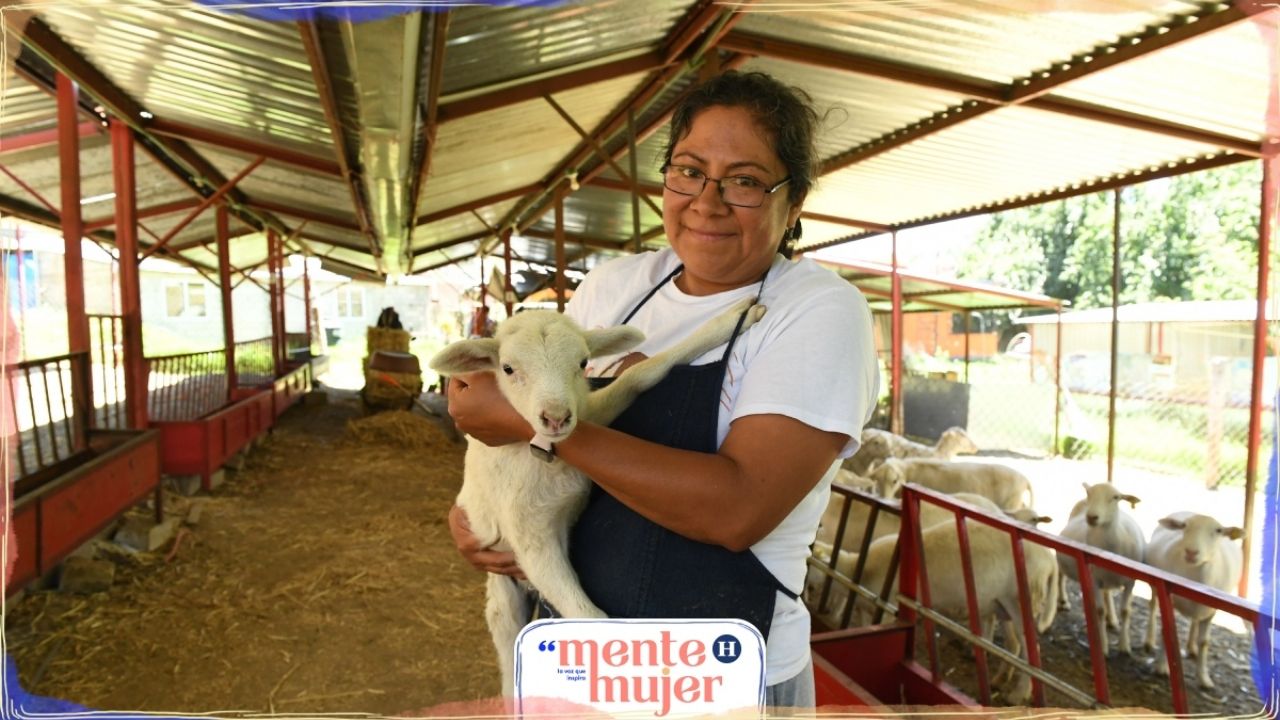 Mujeres El Futuro De La Ovinocultura Citadina El Heraldo De M Xico