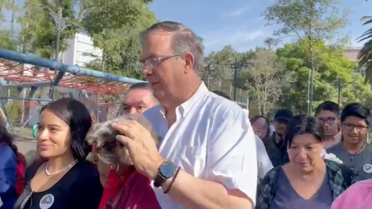 Marcelo Ebrard Encuentros Con Mascotas Y Jefas De Familia As La