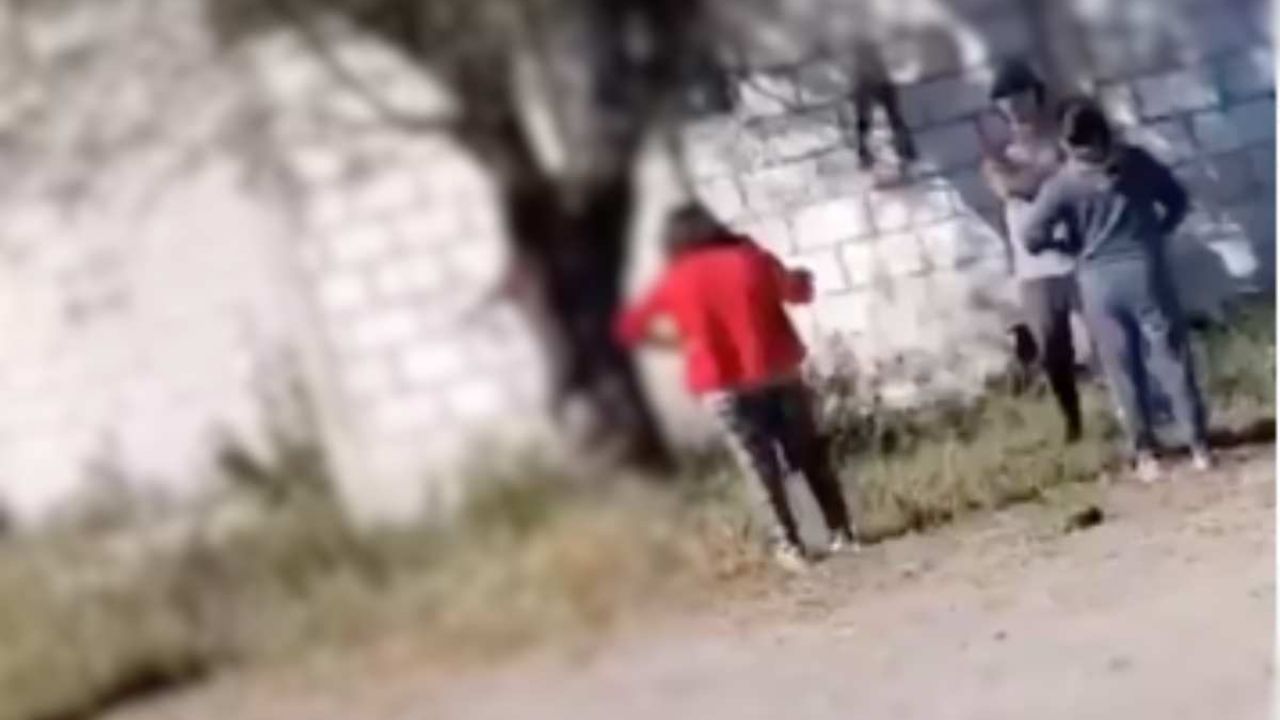 El video de la muerte de un perro colgado en un árbol indigna a Puebla