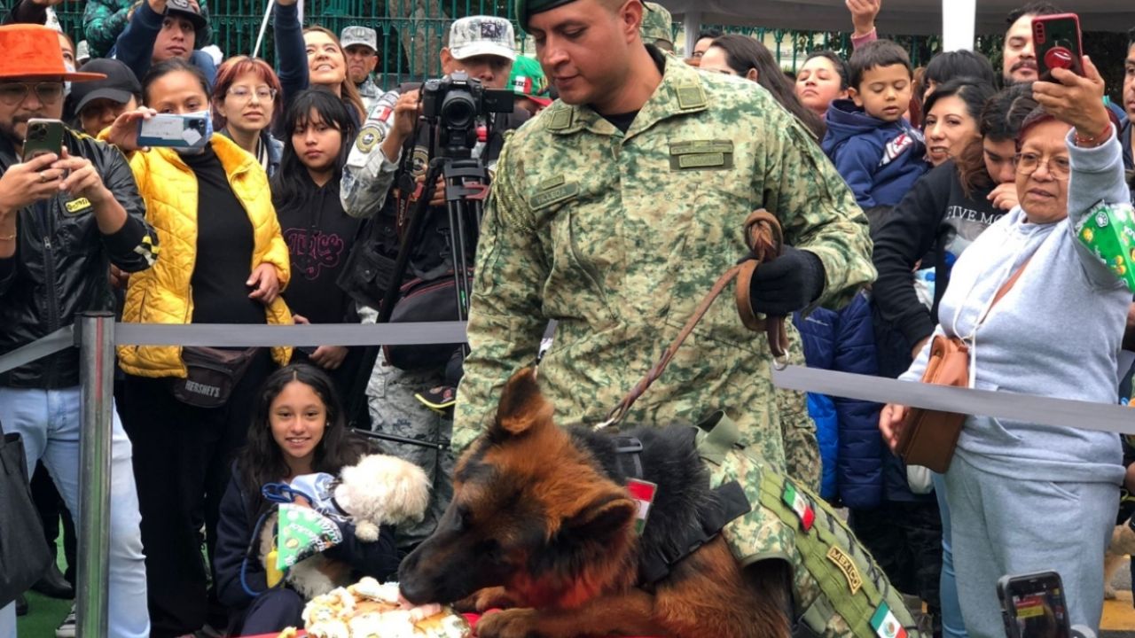 Arkadas el perrito donado por el gobierno de Turquía a México celebró