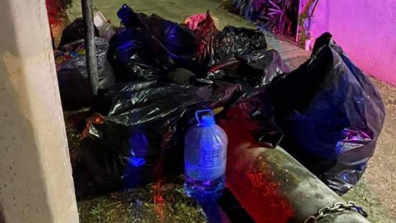 Investigan sacrificios de animales en Naucalpan por qué se utilizan