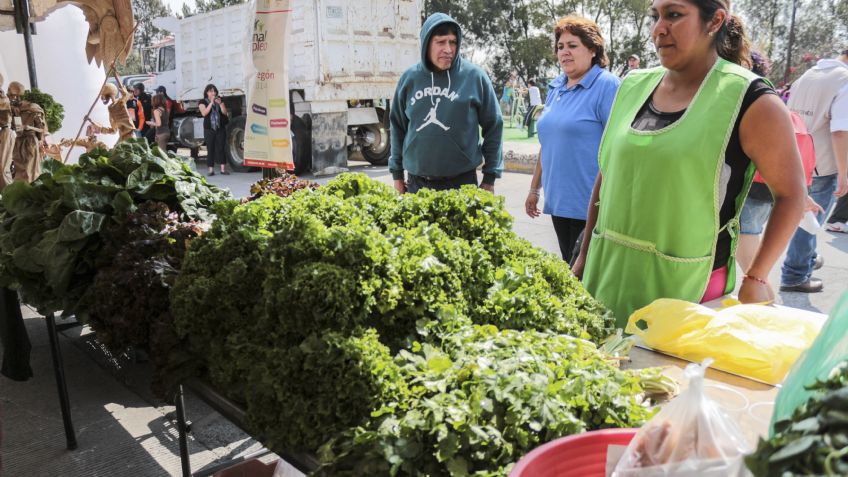 5 hojas verdes que debes incluir en tu dieta