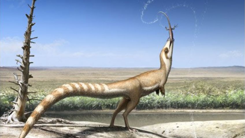 Científicos hallan evidencia de dinosaurio chino emplumado