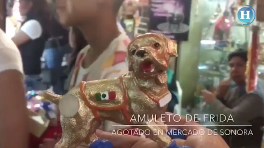 Se agotó en poco tiempo el amuleto de la perrita Frida