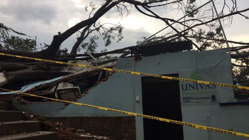 FOTOS: Una tromba derriba árboles y techos en Oaxaca