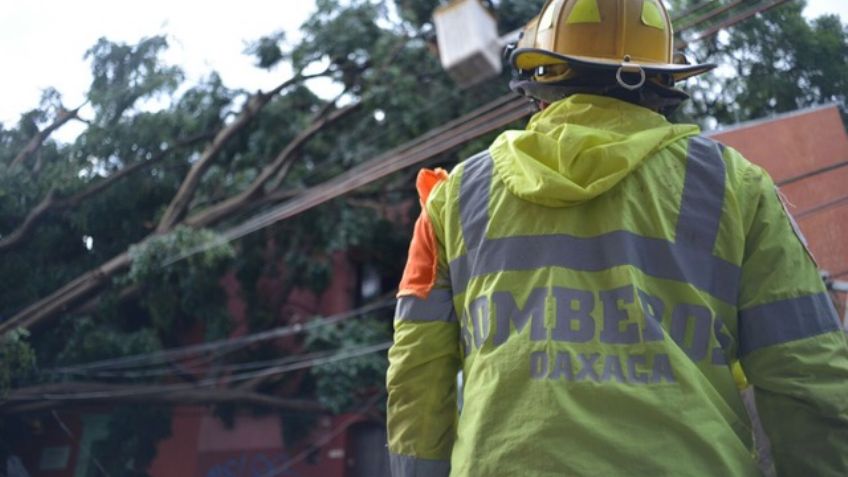 FOTOS: Una tromba derriba árboles y techos en Oaxaca