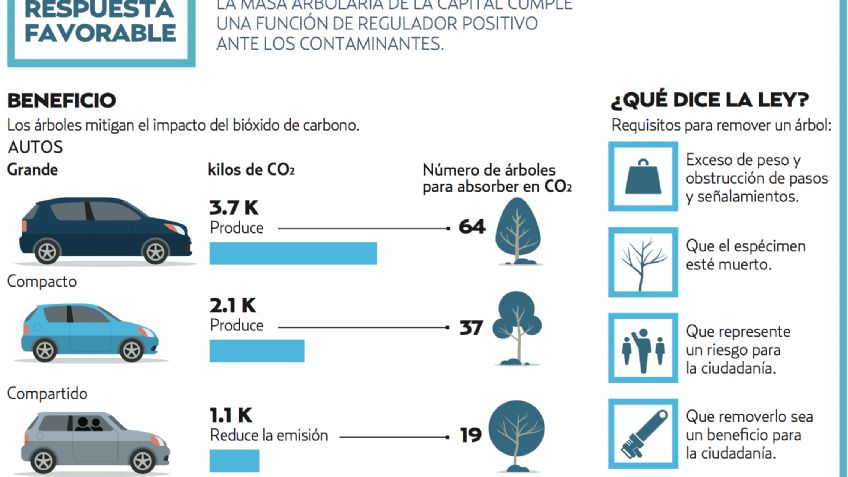 La reforestacio?n, al mejor postor en la Ciudad de México