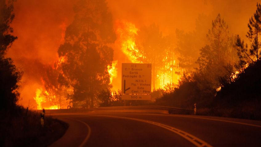 Portugal; aumenta a 62 muertos por incendio en Pedrógão Grande