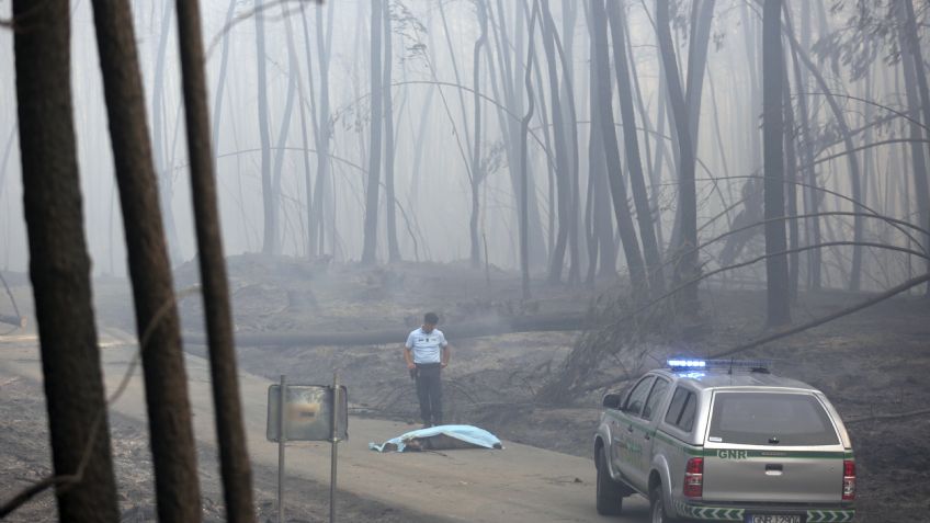 Portugal; aumenta a 62 muertos por incendio en Pedrógão Grande