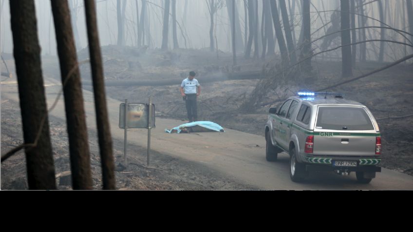 Portugal; aumenta a 62 muertos por incendio en Pedrógão Grande