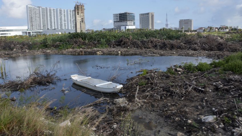 Tribunal ordena se restituya el manglar en Tajamar