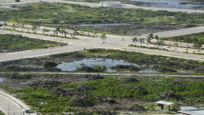 Tribunal ordena se restituya el manglar en Tajamar