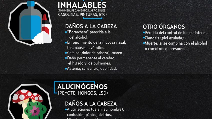 GRÁFICO: Cómo afectan las drogas al organismo