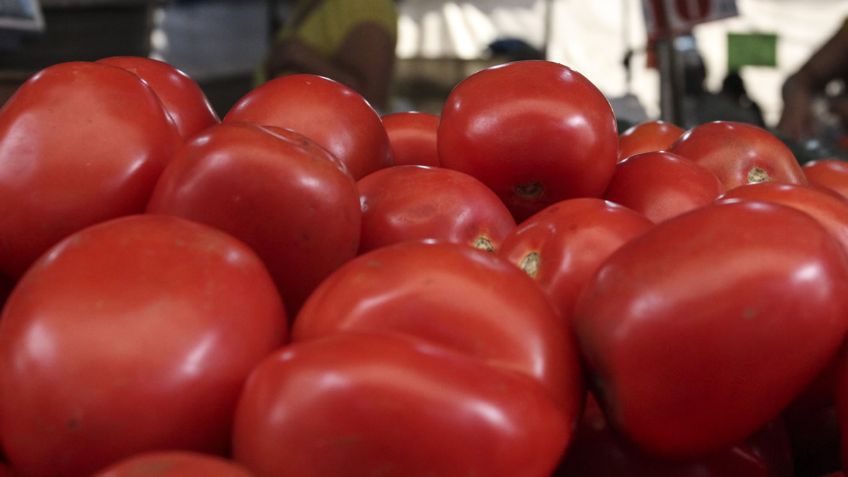 El imperio del oro rojo. Lo que hay detrás de la industria del jitomate