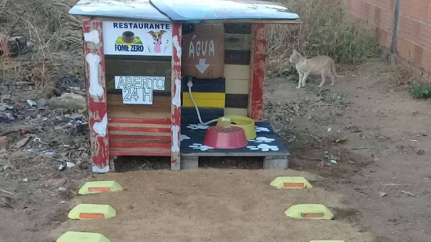 Hambre Cero: el restaurante 24 horas para perros sin hogar