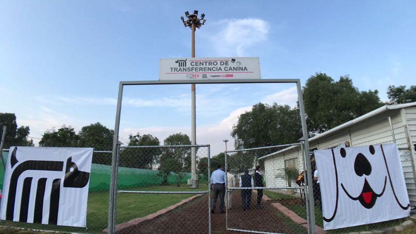 Abre Metro centro de refugio para perros rescatados en sus instalaciones