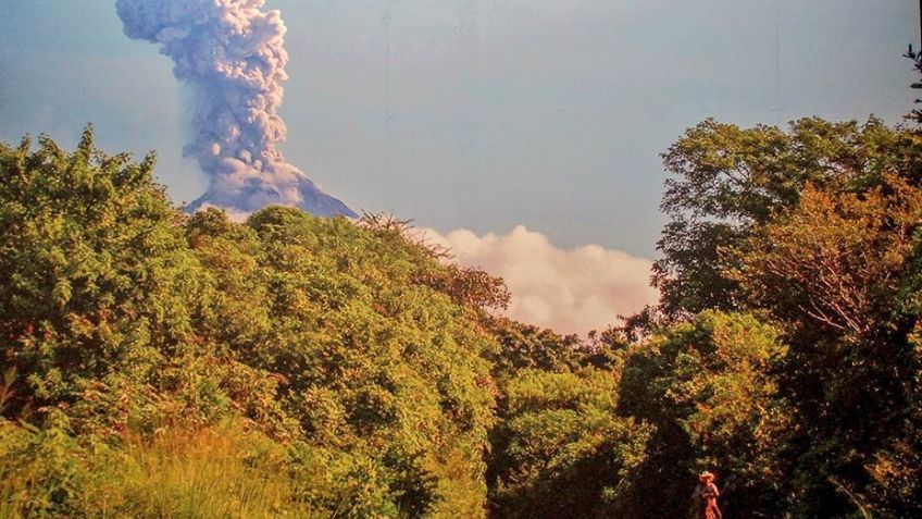 Metro busca reducir suicidios con paisajes de Colima