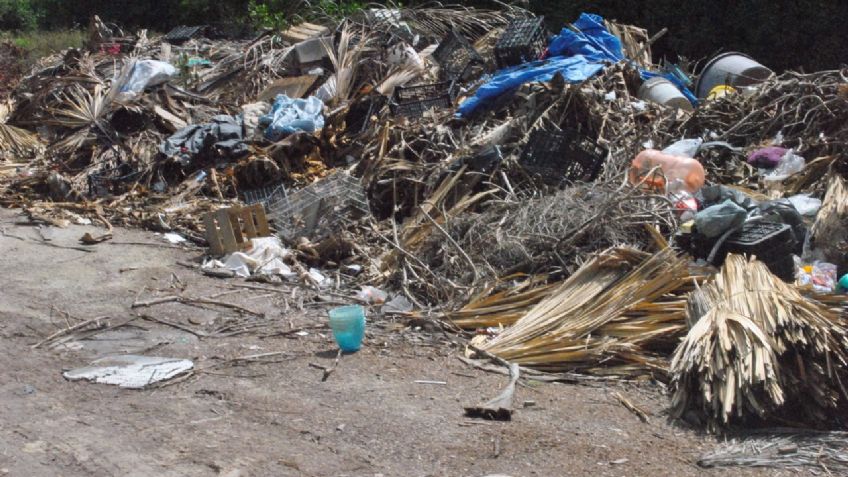 La isla de Holbox agoniza por la falta de estrategias ambientales