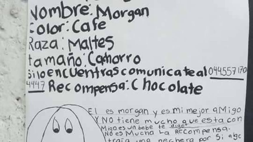 Niña localiza a su perro gracias a cartel hecho con dibujo