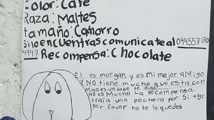 Niña localiza a su perro gracias a cartel hecho con dibujo