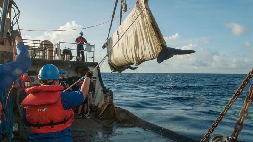 Canadá ordena a los barcos reducir velocidad para proteger a las ballenas