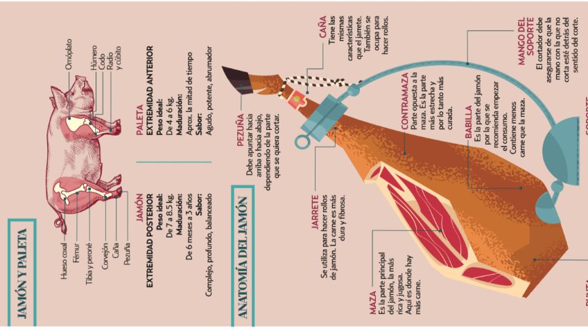 Lo que debes saber sobre el jamón serrano