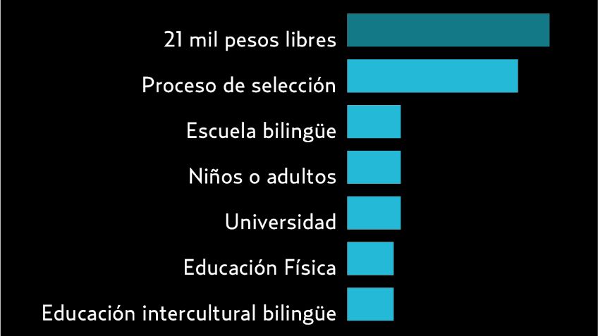 El Pulso de la Red. Aprender inglés en las escuelas de nivel básico