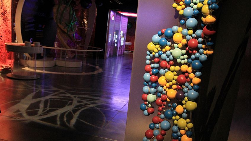 La exhibición de microbios más grande del mundo llega a Universum