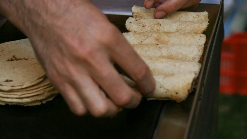 Flash Gourmet. Todo lo que necesitas sobre las tortillas