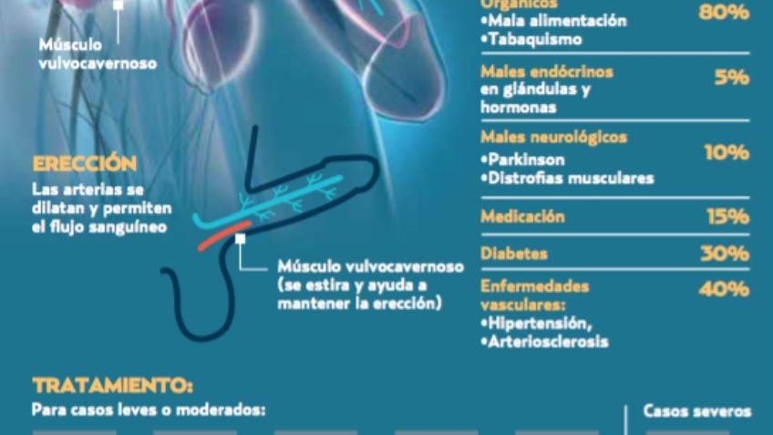 La disfunción eréctil un mal que pega más a los cuarenta años