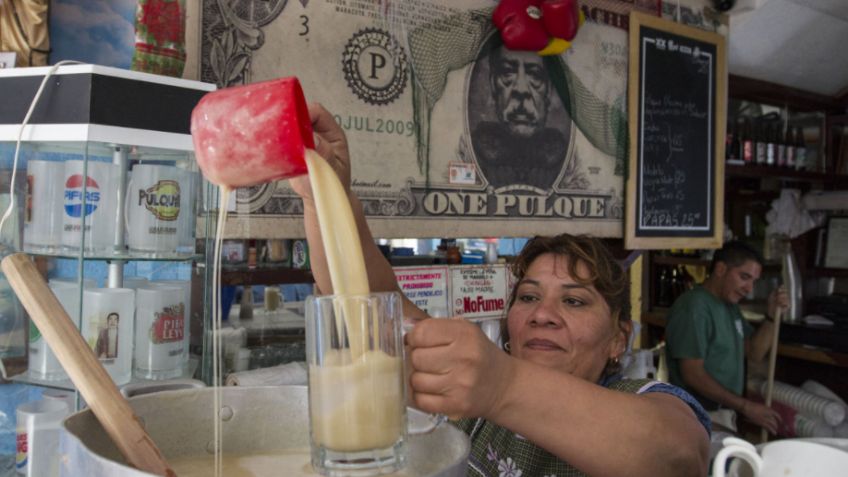 El pulque es beneficioso para el sistema digestivo, revela estudio