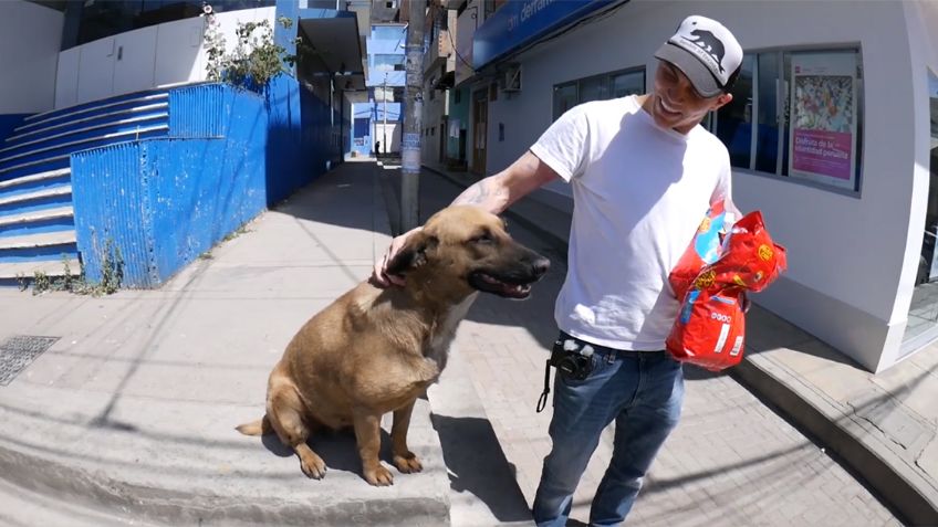 VIDEO: Steve-O, de Jackass, adopta a perrita y su amor por ella se vuelve viral