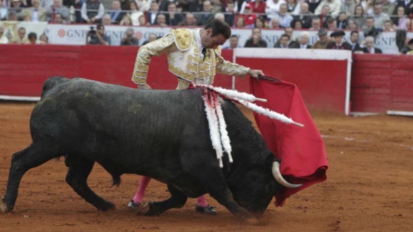 PVEM presenta iniciativa para prohibir corridas de toros en la CDMX