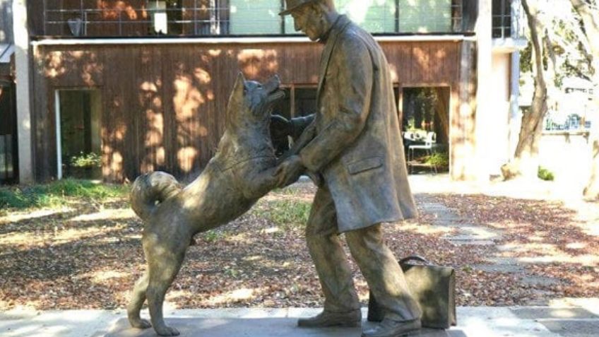 Hachiko, el perro fiel, nació un día como hoy de 1923