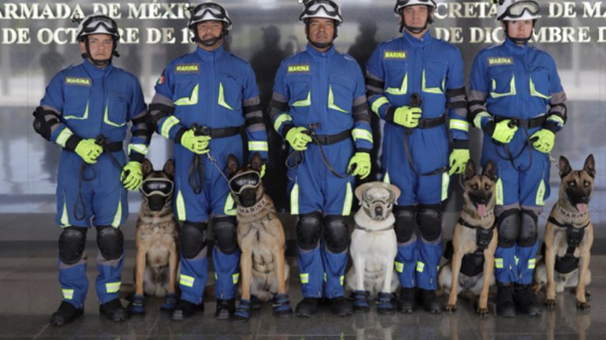 Santiago Arau retrata heroísmo de la perrita Frida