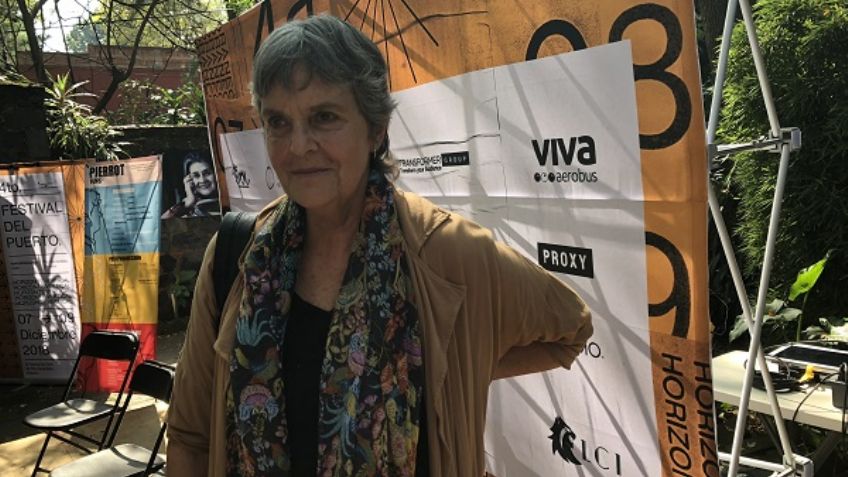 María Novaro buscará ayuda de Del Toro