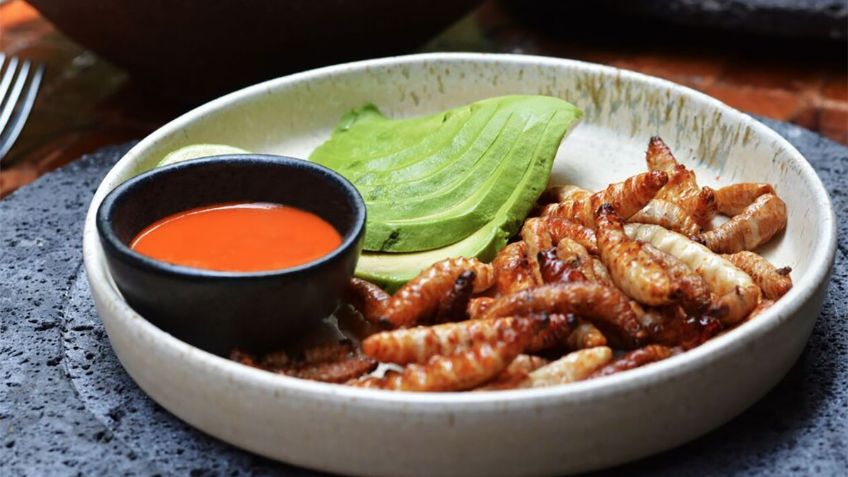 Esto es lo que puedes comer en 'temporada de bichos”