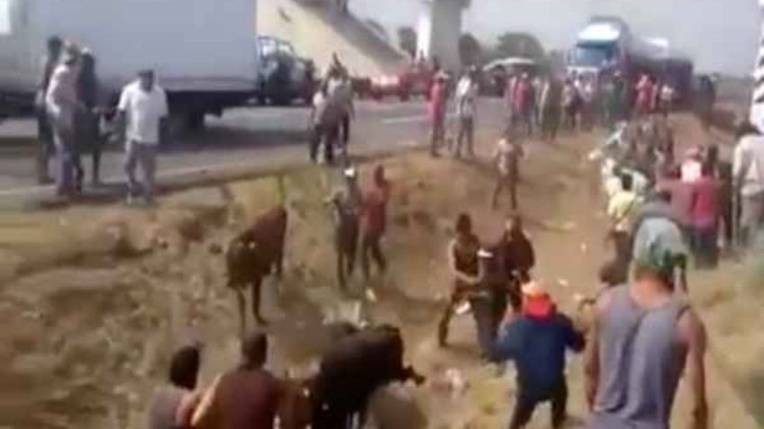 Pobladores de Isla, Veracruz, cometen actos de rapiña y destazan reses vivas: VIDEO