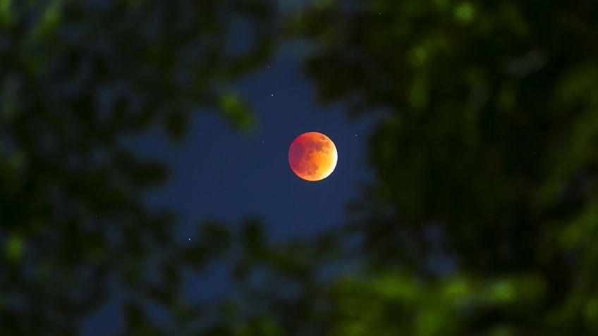 ¿Dónde y cómo ver el eclipse lunar de hoy?