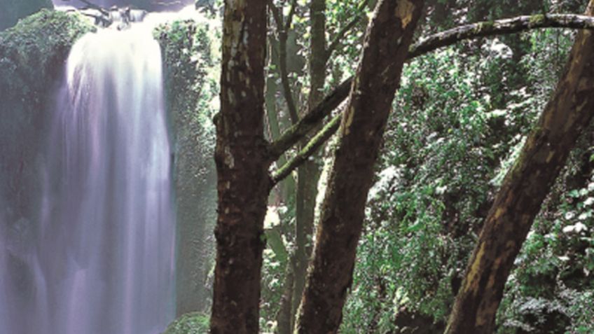 Reserva de la Biosfera Sierra Gorda, dentro de los mejores 100 destinos sostenibles del mundo