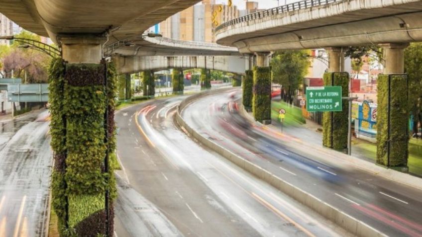 Día Mundial de la Protección de la Naturaleza: ¿Qué son las soluciones basadas en el medio ambiente?