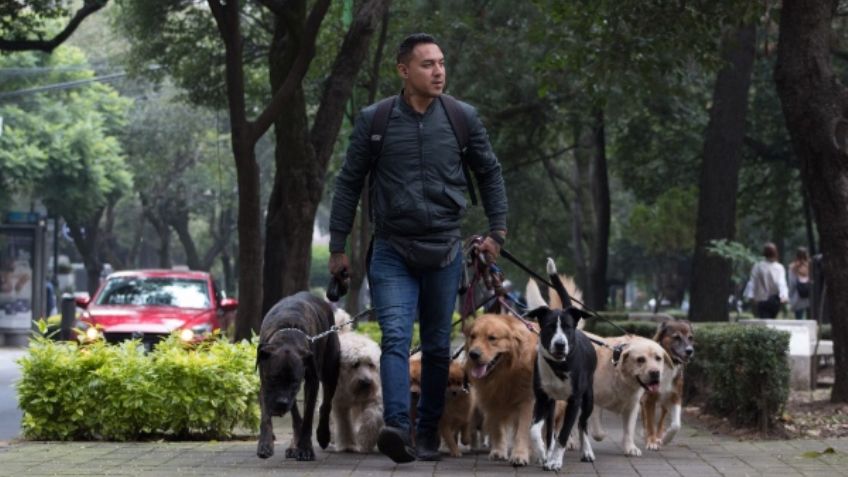 Esta es la calle más exclusiva de México; vivir ahí cuesta en dólares