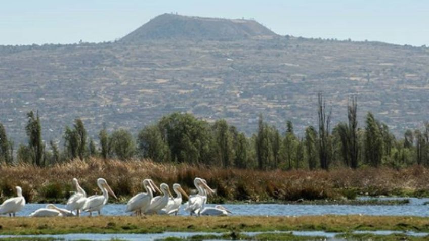 Estos son los 6 volcanes que custodian a la Ciudad de México: FOTOS