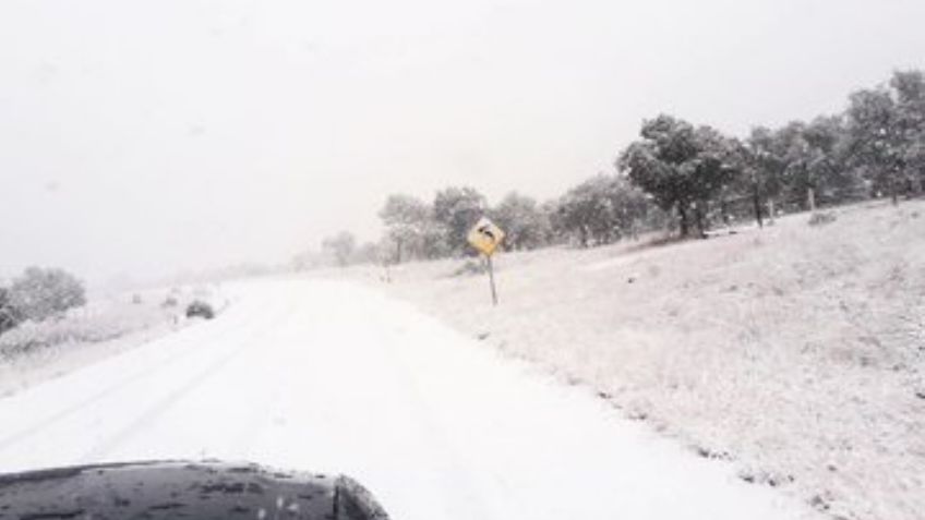 Chihuahua se pinta de blanco, nieve cubre calles y autos: VIDEO + FOTOS