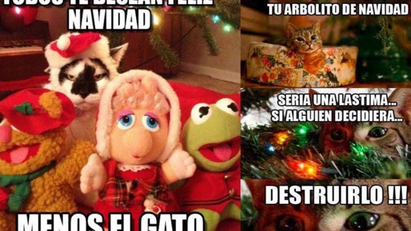 ¡Ya llegaron, ya están aquí! Estos son los mejores MEMES de la Navidad 2019