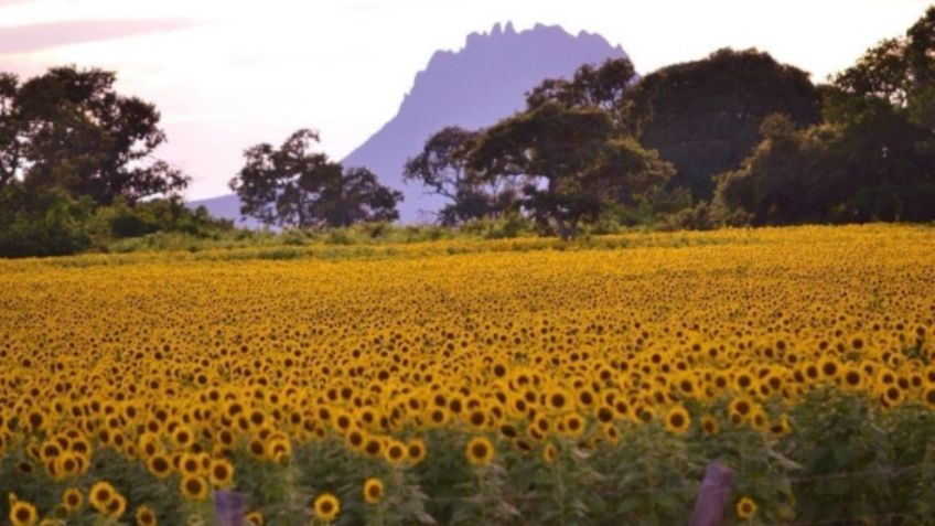 Conoce las 5 montañas más grandes de México y lo que puedes hacer en ellas