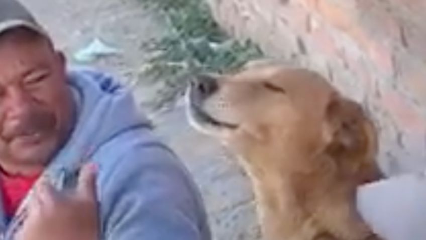 Perrito canta canción de Los Temerarios y derrite corazones en redes: VIDEO